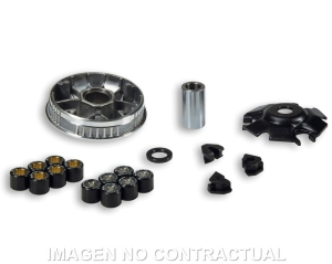 Variador Malossi Multivar...