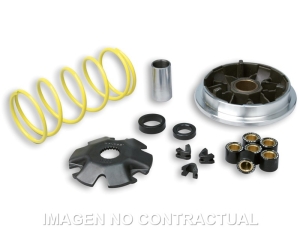 Variador Malossi Multivar...