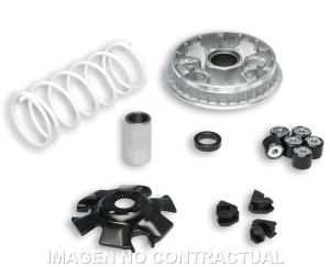 Variador Malossi Multivar...