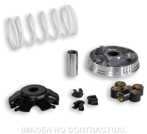 Variador Malossi Multivar...