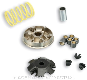 Variador Malossi Multivar...