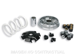 Variador Malossi Multivar...