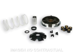 Variador Malossi Multivar...