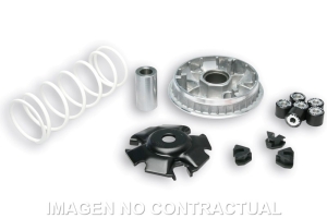 Variador Malossi Multivar...