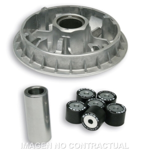 Variador Malossi Multivar...