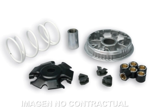 Variador Malossi Multivar...