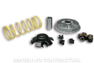 Variador Malossi Multivar...