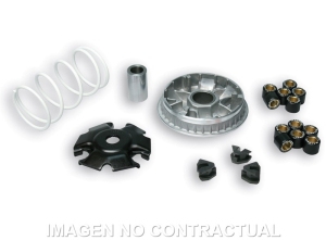 Variador Malossi Multivar...