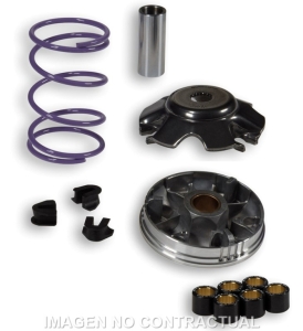 Variador Malossi Multivar...