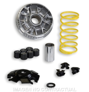 Variador Malossi Multivar...