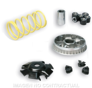 Variador Malossi Multivar...