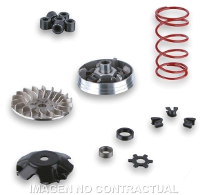 Variador Malossi Multivar...