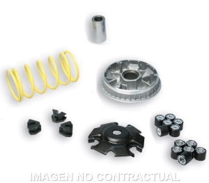 Variador Malossi Multivar...