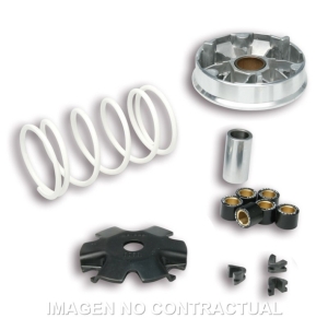 Variador Malossi Multivar...