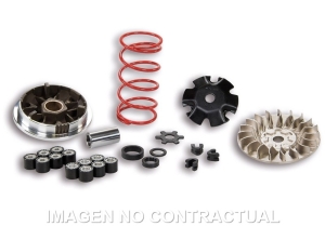 Variador Malossi Multivar...