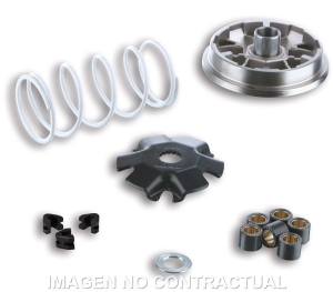 Variador Malossi Multivar...