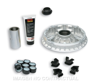 Variador Malossi Multivar...