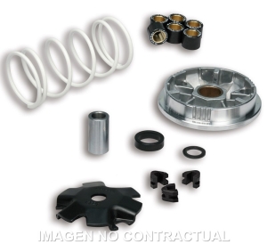 Variador Malossi Multivar...