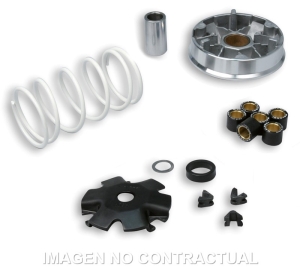 Variador Malossi Multivar...