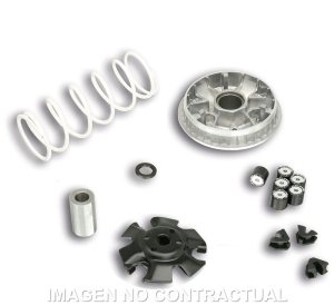 Variador Malossi Multivar...