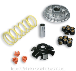 Variador Malossi Multivar...