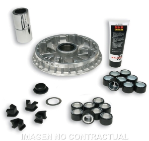 Variador Malossi Multivar...