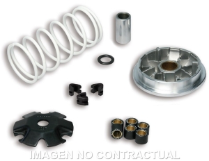 Variador Malossi Multivar...