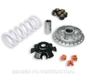 Variador Malossi Multivar...