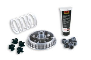 Variador Malossi Multivar...