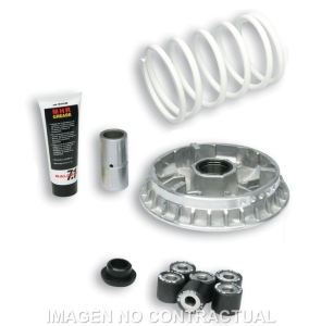 Variador Malossi Multivar...