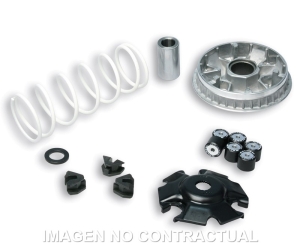 Variador Malossi Multivar...