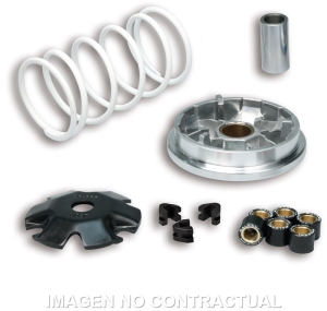 Variador Malossi Multivar...