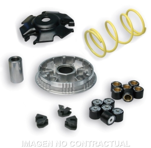 Variador Malossi Multivar...