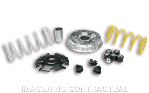 Variador Malossi Multivar...