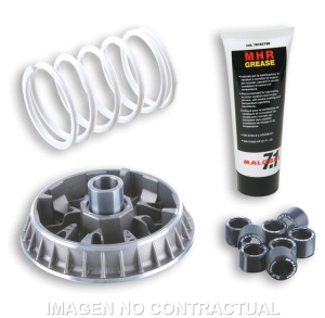 Variador Malossi Multivar...