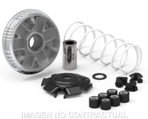 Variador Malossi Multivar...