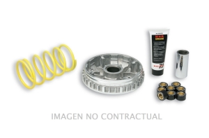 Variador Malossi Multivar...