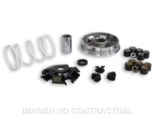 Variador Malossi Multivar...