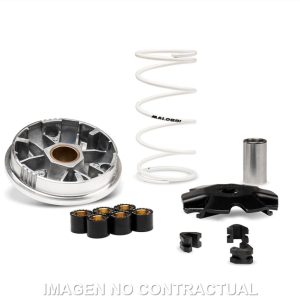 Variador Malossi Multivar...