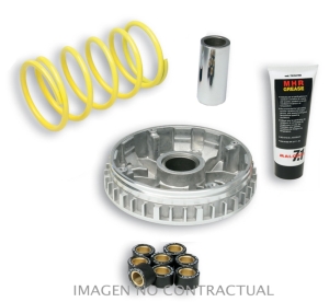 Variador Malossi Multivar...