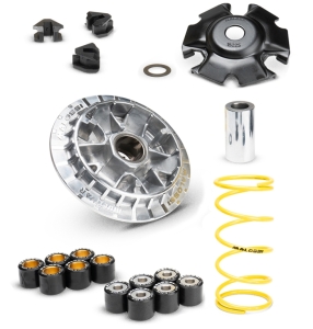 Variador Malossi Multivar...