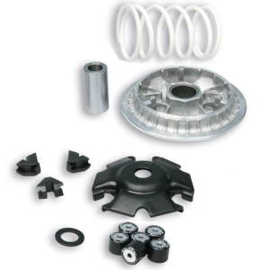 Variador Malossi Multivar...