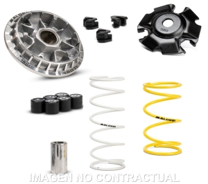 Variador Malossi Multivar...