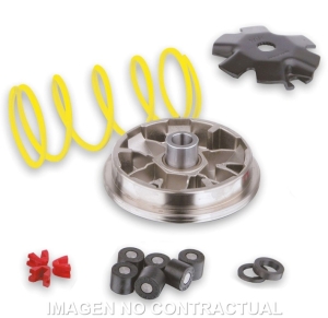 Variador Malossi Multivar...