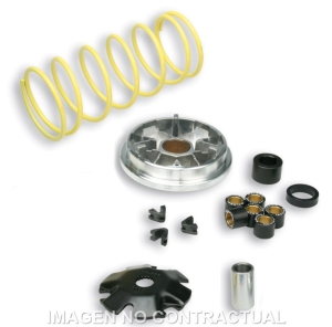 Variador Malossi Multivar...