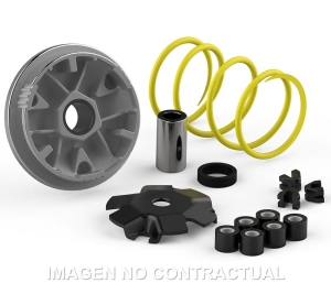 Variador Malossi Multivar...