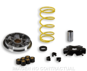 Variador Malossi Multivar...