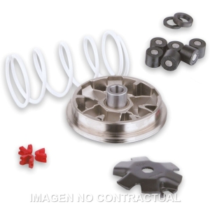 Variador Malossi Multivar...