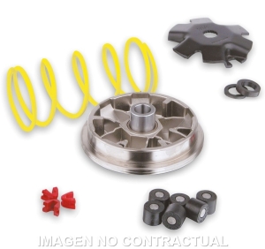 Variador Malossi Multivar...