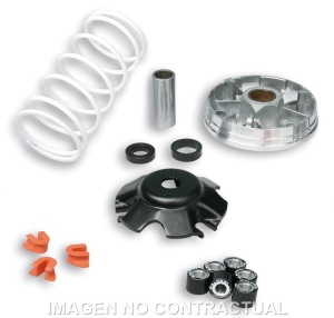 Variador Malossi Multivar...